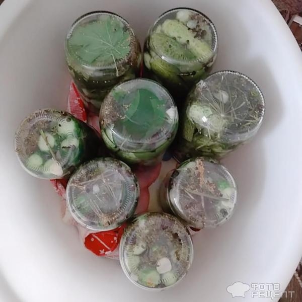 Маринованные огурцы с зёрнами горчицы